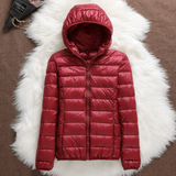 Lightweight padded jacket in deep burgundy